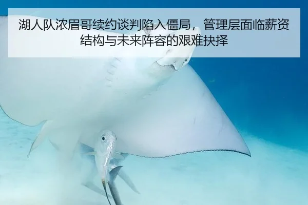湖人队浓眉哥续约谈判陷入僵局，管理层面临薪资结构与未来阵容的艰难抉择