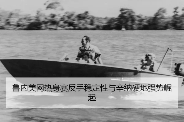 lu-nei-mei-wang-re-shen-sai-fan-shou-wen-ding-xing-yu-xin-na-ying-di-qiang-shi-jue-qi-2-773.jpg