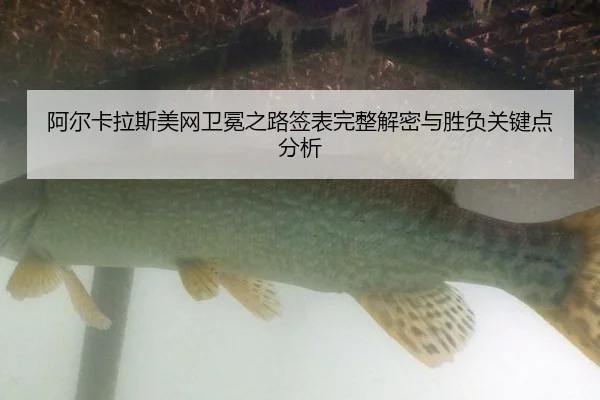 a-er-ka-la-si-mei-wang-wei-mian-zhi-lu-qian-biao-wan-zheng-jie-mi-yu-sheng-fu-guan-jian-dian-fen-xi-2-124.jpg