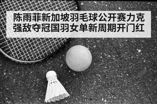Chen Yufei badminton